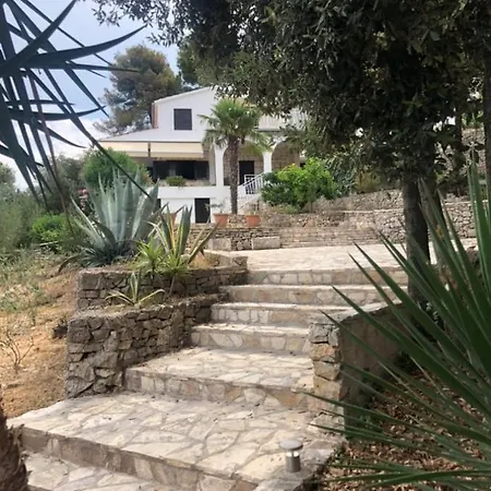 In 70m From The Sea Apartment Maslinica