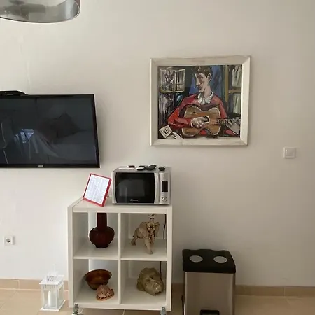 Appartement In 70m From The Sea