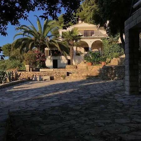 Apartment In 70m From The Sea Maslinica