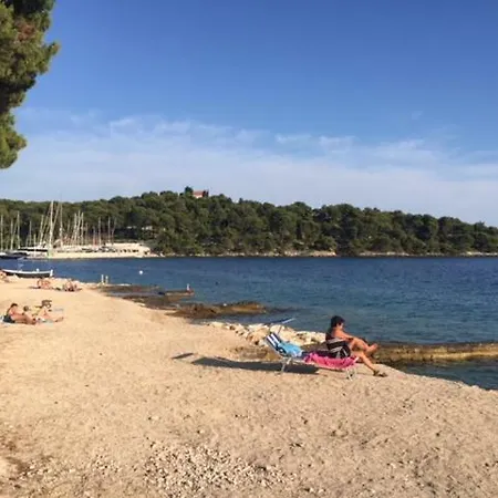 In 70m From The Sea * Maslinica