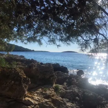 In 70m From The Sea Maslinica
