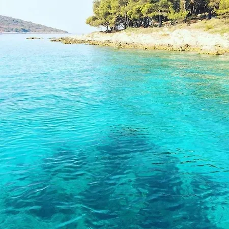 In 70m From The Sea Apartment Maslinica