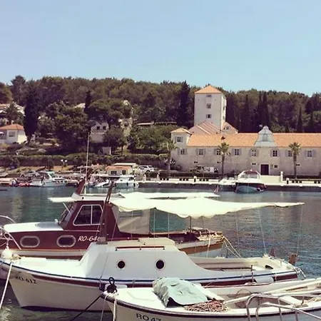 In 70m From The Sea Apartment Maslinica