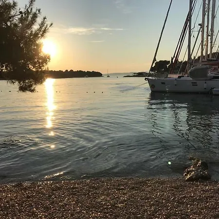 Apartment In 70m From The Sea