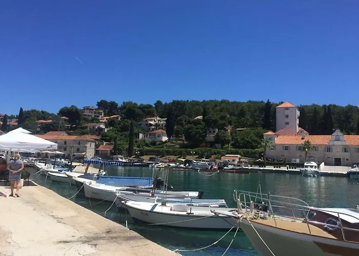 In 70m From The Sea Maslinica