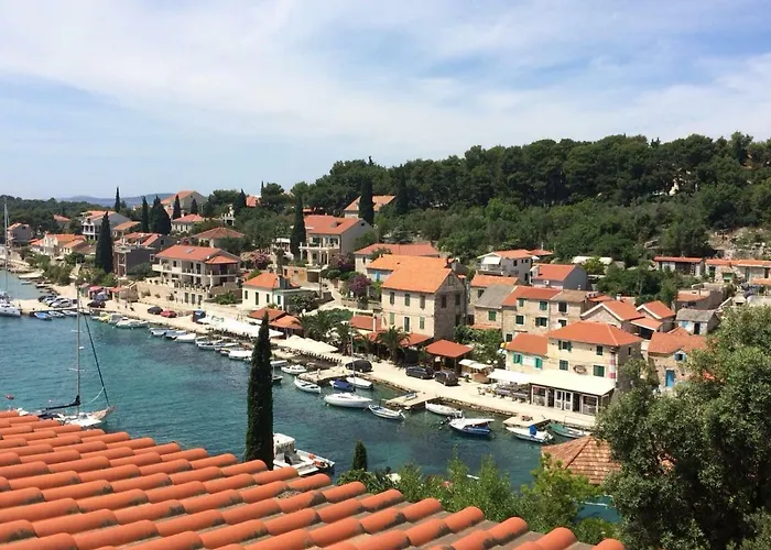 In 70m From The Sea Maslinica