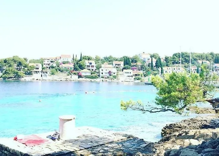 Apartamento In 70m From The Sea