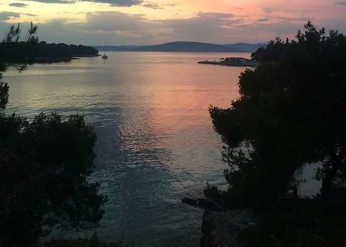 In 70m From The Sea Maslinica