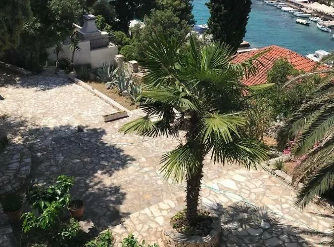 Apartamento In 70m From The Sea